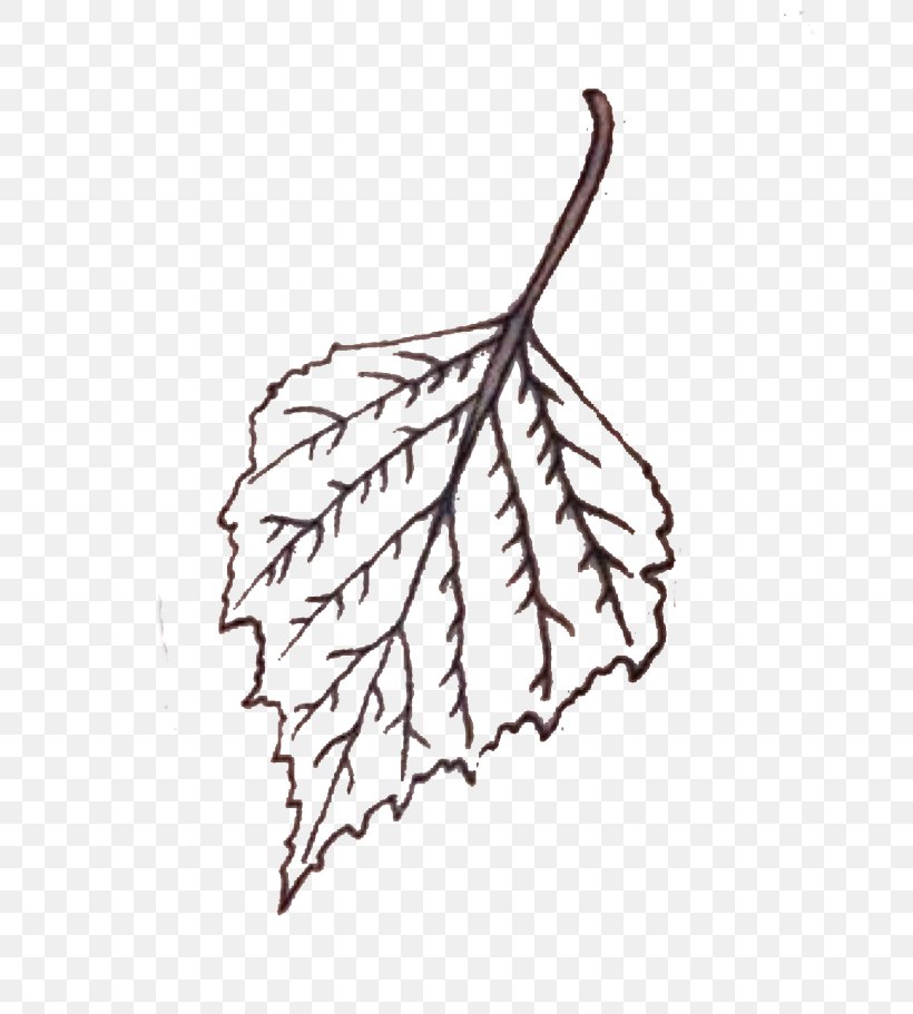Sticker Leaf Head Hair, PNG, 699x911px, 2017, Sticker, Black And White, Branch, Cell Download Free