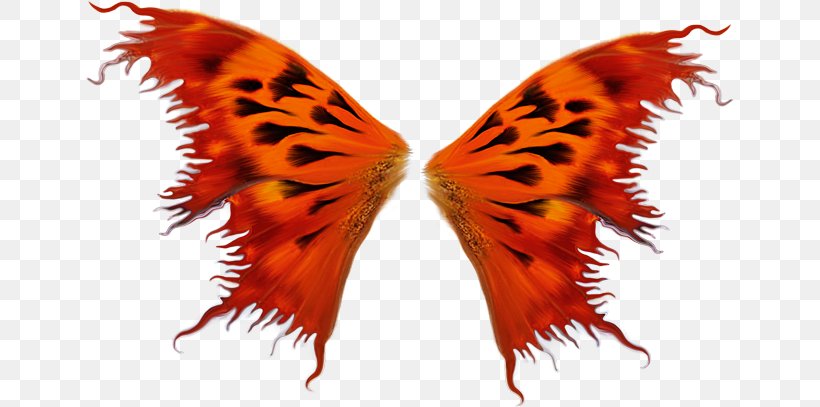 Butterfly Bird Wing Insect, PNG, 647x407px, Butterfly, Bird, Blog, Butterflies And Moths, Insect Download Free