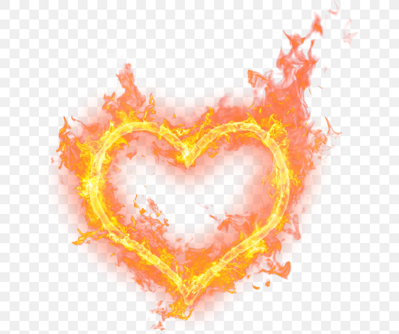 Orange, PNG, 657x687px, Heart, Love, Orange Download Free