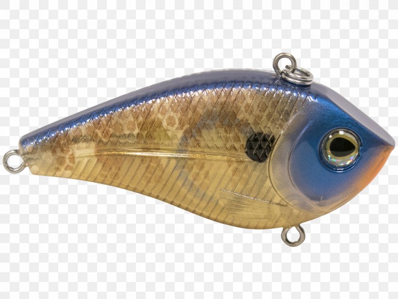 Spoon Lure Cobalt Blue Fish, PNG, 1200x900px, Spoon Lure, Ac Power Plugs And Sockets, Bait, Blue, Cobalt Download Free