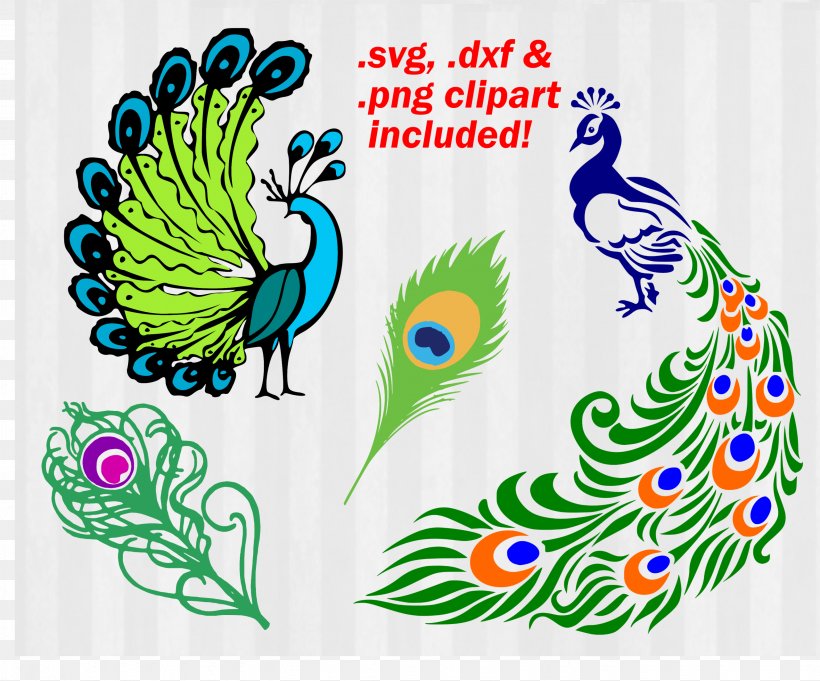 Bird Peafowl AutoCAD DXF Clip Art, PNG, 3082x2560px, Bird, Art, Asiatic Peafowl, Autocad Dxf, Beak Download Free