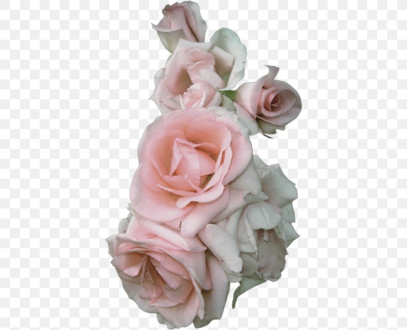 Garden Roses Floribunda Cabbage Rose Cut Flowers Pink, PNG, 400x665px, Garden Roses, Artificial Flower, Blue Rose, Cabbage Rose, Cut Flowers Download Free