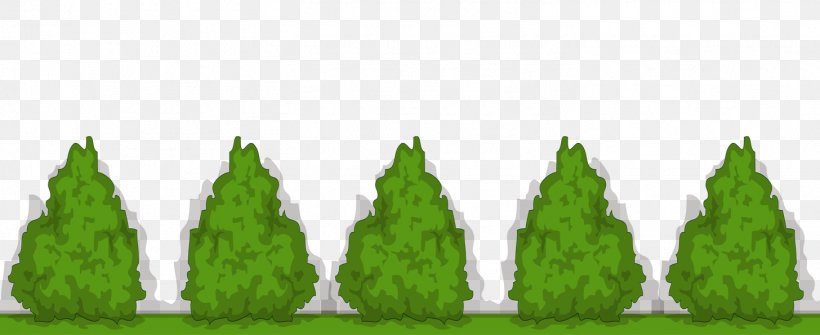 Green Butterfly Tree, PNG, 1456x595px, Green, Animation, Butterfly, Conifer, Drawing Download Free