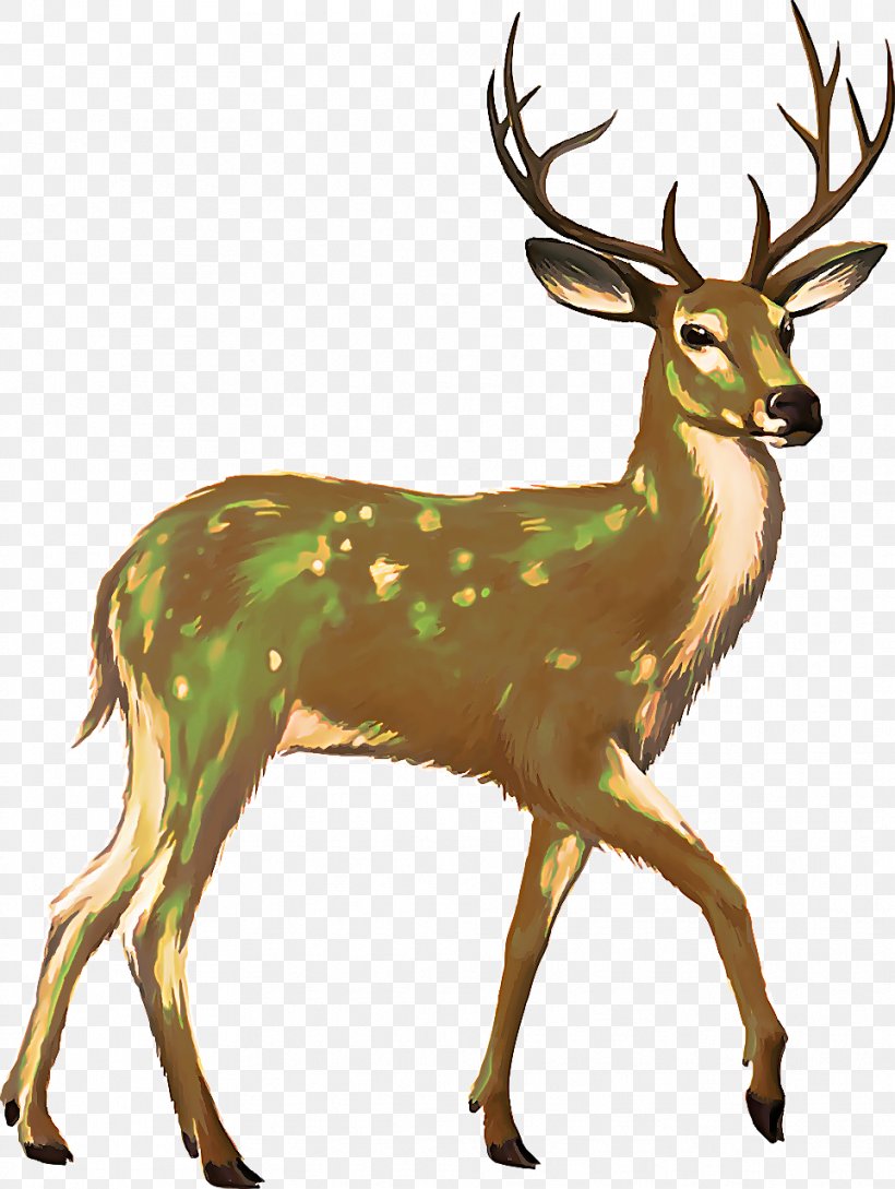 Reindeer, PNG, 963x1280px, Reindeer, Antler, Deer, Elk, Horn Download Free