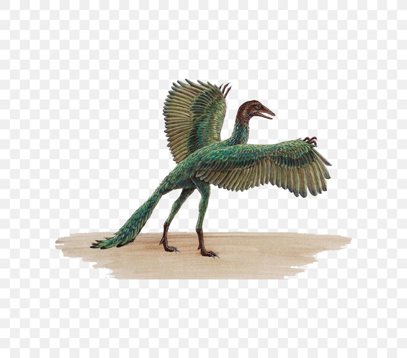 ARK: Survival Evolved Archaeopteryx Bird Pterosaurs Velociraptor, PNG, 790x720px, Ark Survival Evolved, Archaeopteryx, Beak, Bird, Dinosaur Download Free