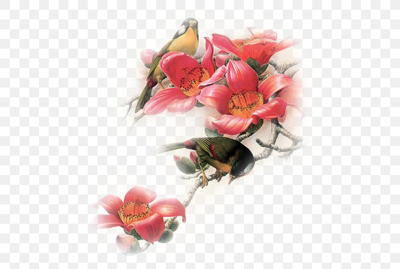 Bird Gfycat Flower Bokmärke, PNG, 500x553px, Bird, Artificial Flower, Cut Flowers, Floral Design, Flower Download Free