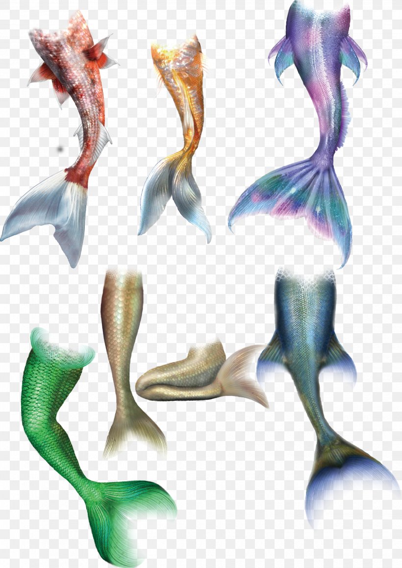 Mermaid Tail Drawing, PNG, 2480x3508px, The Little Mermaid, Drawing, Fish, Fishing, Joint Download Free