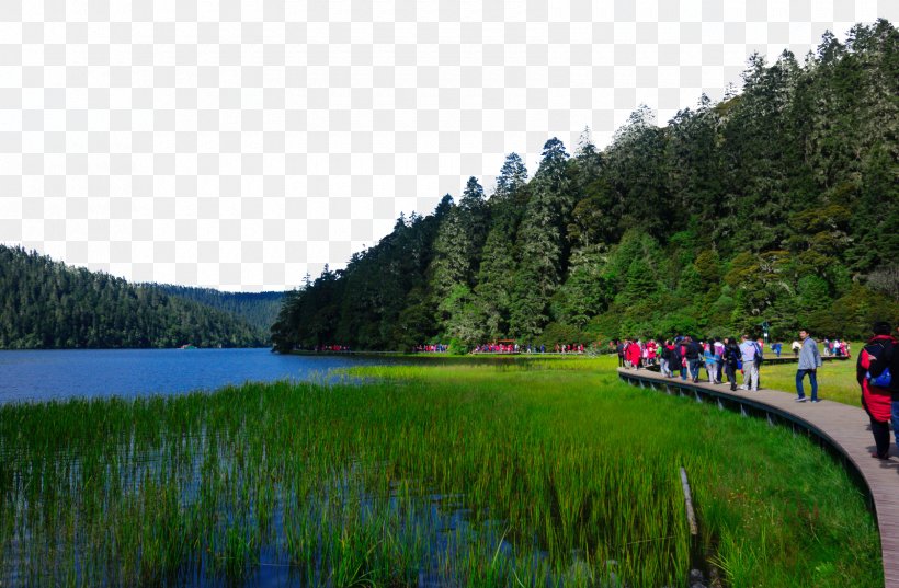 Mount Rainier Potatso National Park Komodo National Park Forest Park Grand Canal, PNG, 1680x1101px, Mount Rainier, Field, Forest Park, Grand Canal, Grass Download Free