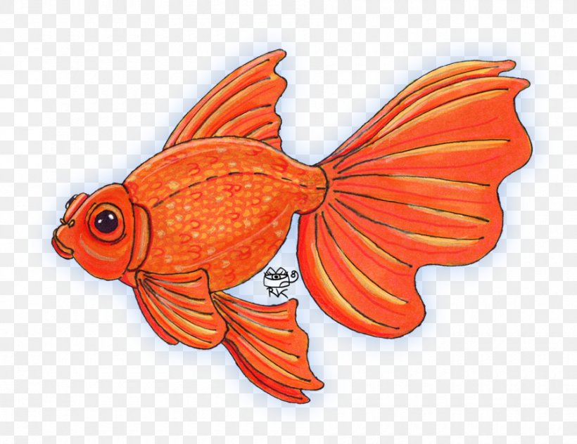 Butterfly Goldfish, PNG, 900x694px, Watercolor, Cartoon, Flower, Frame, Heart Download Free