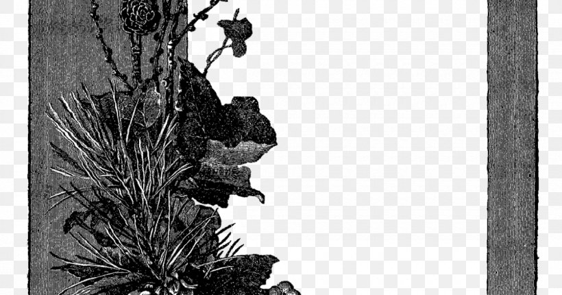 Vector Graphics Clip Art Psd Image, PNG, 1200x630px, Photography, Black And White, Blackandwhite, Botany, Branch Download Free