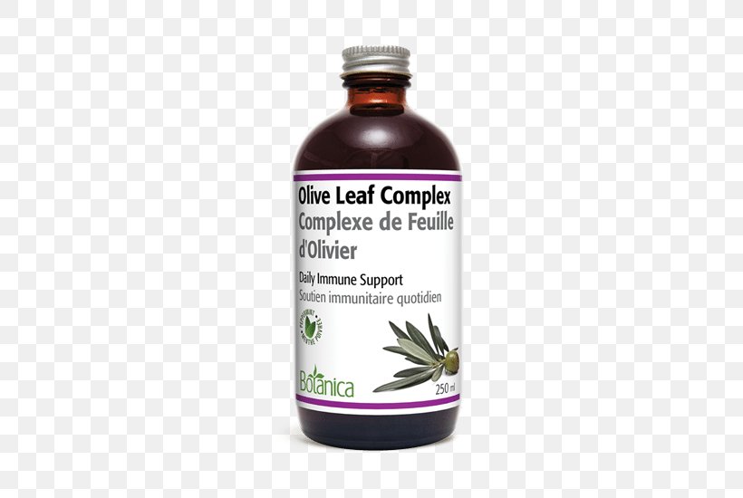 Olive Leaf Herb Extract Health, PNG, 550x550px, Olive Leaf, Antioxidant, Botanica, Extract, Food Download Free