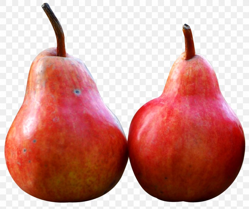 Pear Fruit, PNG, 1304x1095px, Pear, Accessory Fruit, Apple, Display Resolution, Food Download Free