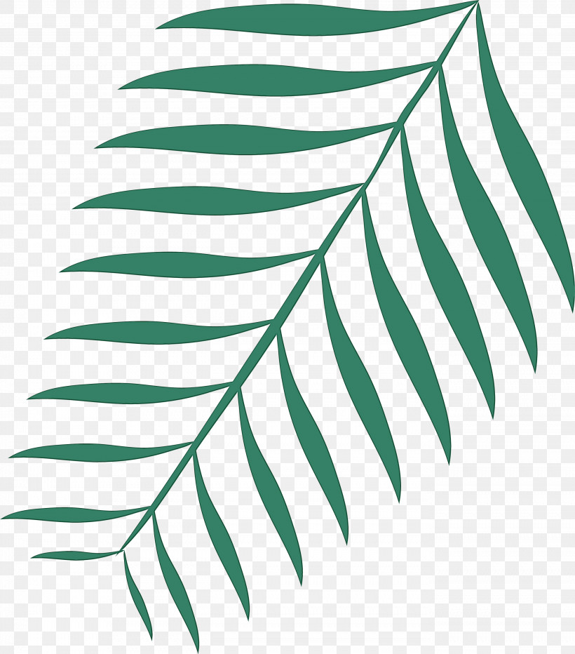 Plant Stem Leaf Black & White / M Green Line, PNG, 2747x3123px, Leaf, Biology, Black White M, Green, Line Download Free