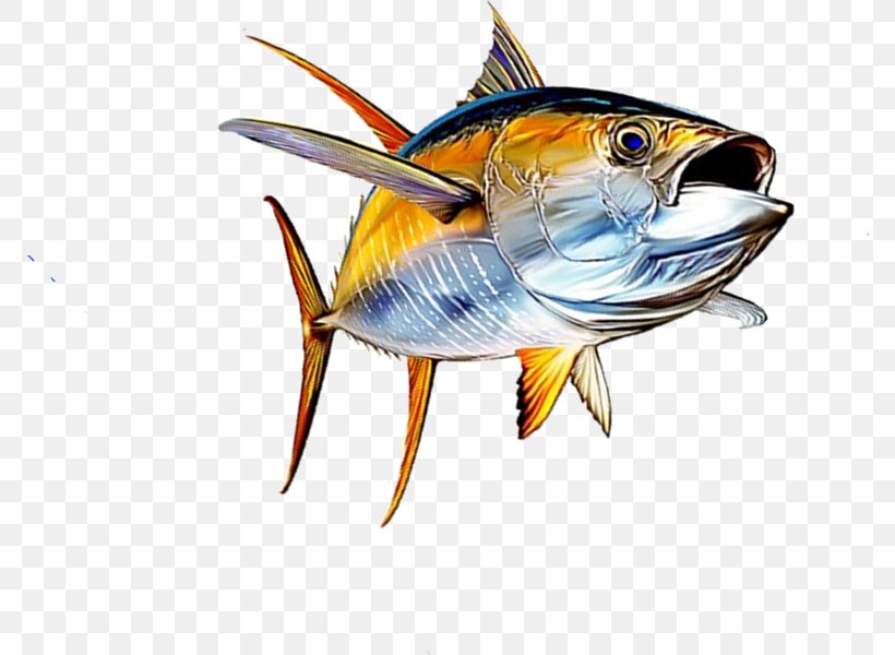 Tuna Salad Yellowfin Tuna Fish Seafood, PNG, 772x600px, Tuna Salad, Atlantic Bluefin Tuna, Bigeye Tuna, Bonyfish, Fin Download Free