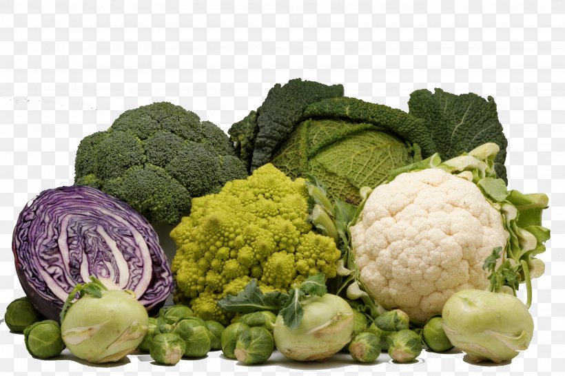 Capitata Group Cruciferous Vegetables Brussels Sprout Broccoli, PNG, 3659x2439px, Capitata Group, Brassica Oleracea, Broccoli, Brussels Sprout, Cabbage Download Free