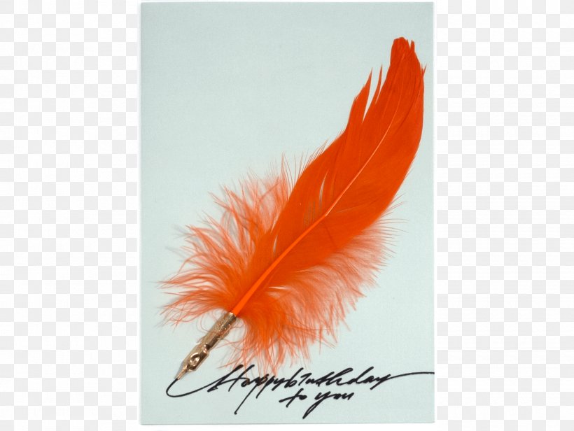 Feather, PNG, 1600x1203px, Feather, Orange, Quill, Wing Download Free