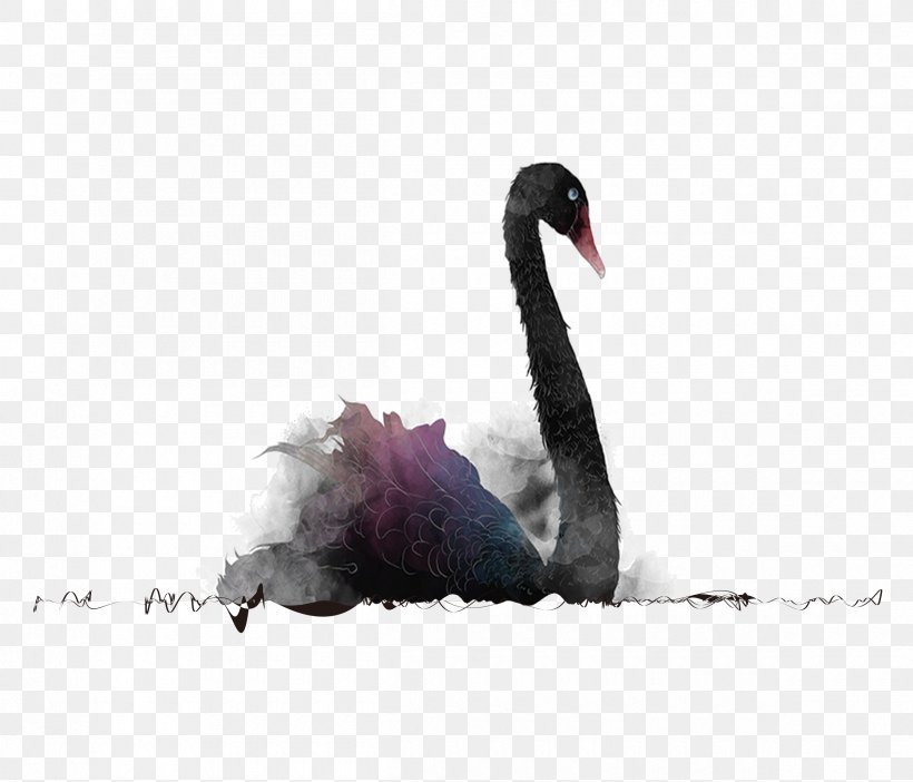 Black Swan Theory Poster, PNG, 2400x2056px, Black Swan, Ballet, Beak, Bird, Black Swan Theory Download Free
