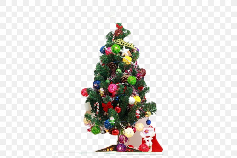 Christmas Tree Christmas Ornament Festival, PNG, 1024x683px, Christmas Tree, Christmas, Christmas Decoration, Christmas Ornament, Conifer Download Free
