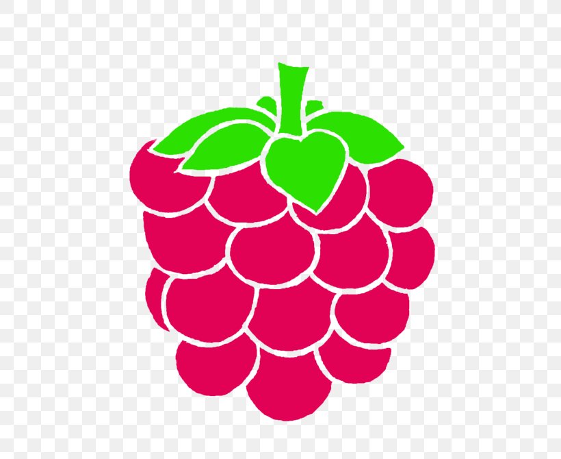 Raspberry Drawing Food, PNG, 800x670px, Raspberry, Art, Cartoon, Drawing, Flowering Plant Download Free