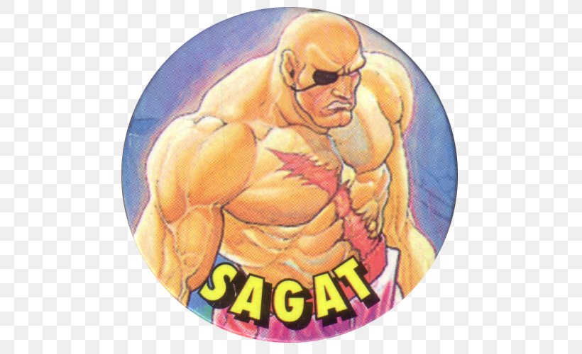 Street Fighter II: The World Warrior Super Street Fighter II Sagat Video Game Chewing Gum, PNG, 500x500px, Watercolor, Cartoon, Flower, Frame, Heart Download Free