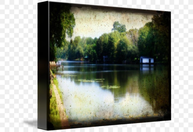 Bayou Water Resources Painting Picture Frames Water Feature, PNG, 650x560px, Bayou, Bank, Fluvial Landforms Of Streams, Landscape, Nature Download Free