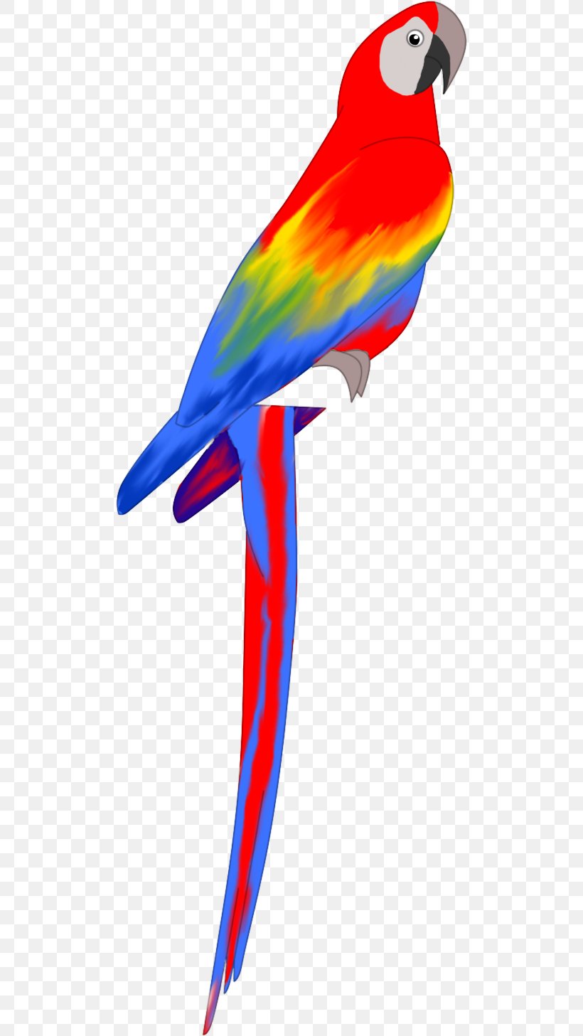 Macaw Feather Beak Parakeet Wing, PNG, 494x1457px, Macaw, Animal, Animal Figure, Beak, Bird Download Free