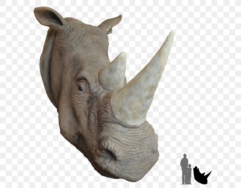 Rhinoceros Deer Animal African Rhino Horn, PNG, 640x640px, Rhinoceros, African Rhino, Animal, Black Rhinoceros, Deer Download Free