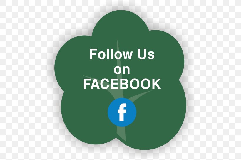 Product Design Brand Logo Green Font, PNG, 517x545px, Brand, Facebook, Facebook Inc, Green, Instagram Download Free
