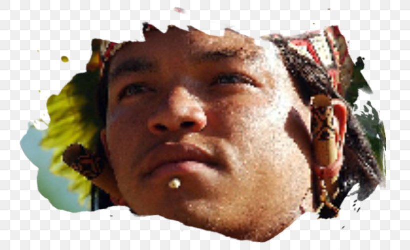 Brazil Brasilian Alkuperäiskansat Yanomami Pataxó Labret, PNG, 800x500px, Brazil, Beard, Body Piercing, Chin, Face Download Free
