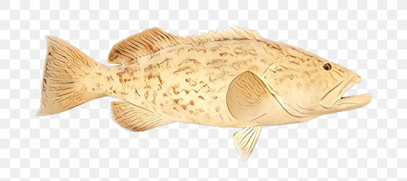 Fish Fish Sole Flounder, PNG, 1876x839px, Cartoon, Fish, Flounder, Sole Download Free