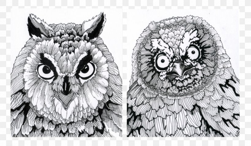 Owl Artist Drawing Bird, PNG, 900x526px, Owl, Application For Employment, Art, Artist, Beak Download Free