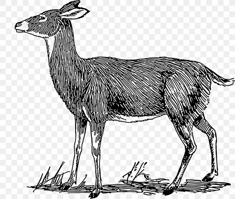 White-tailed Deer Roe Deer Moose Clip Art, PNG, 1280x1089px, Whitetailed Deer, Animal, Animal Figure, Antelope, Antler Download Free