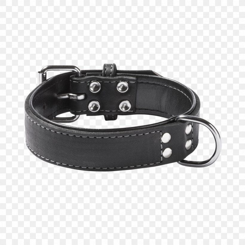 Dog Collar Dog Collar Black Leash, PNG, 1976x1976px, Dog, Beige, Black, Brown, Centimeter Download Free