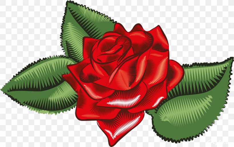 Garden Roses Red Petal Data, PNG, 1000x631px, Garden Roses, Child, Cut Flowers, Data, Flora Download Free