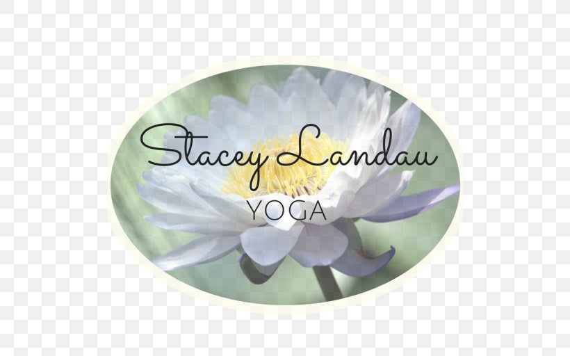 Stacey Landau Yoga Therapy Radlett St Albans, PNG, 512x512px, Yoga, City Of St Albans, Dishware, Emotion, Flower Download Free