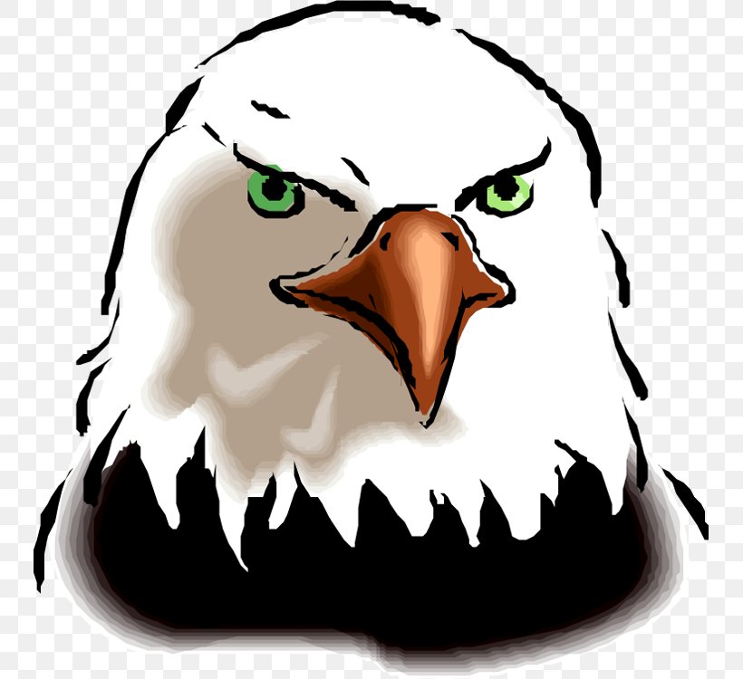 Supai Student Bald Eagle Clip Art, PNG, 745x750px, Supai, Bald Eagle, Beak, Bird, Bird Of Prey Download Free