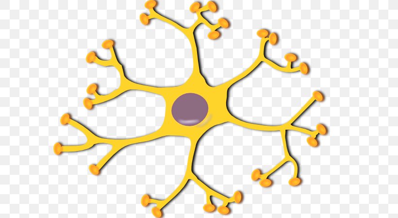 The Neuron Motor Neuron Clip Art, PNG, 600x449px, Neuron, Area, Body Jewelry, Brain, Cell Download Free