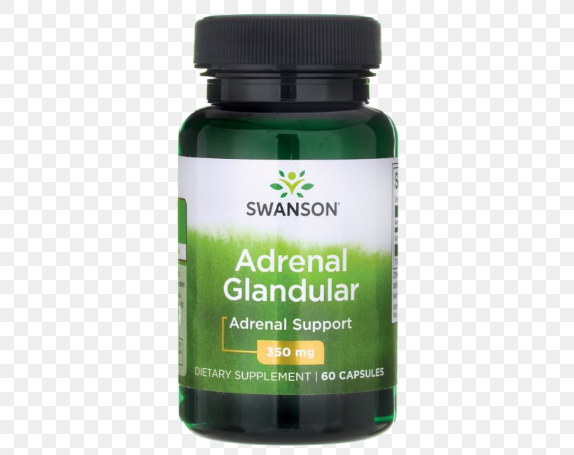 Dietary Supplement Lactobacillus Gasseri Probiotic Swanson Health Products Food, PNG, 650x650px, Dietary Supplement, Apple Cider Vinegar, Bacteria, Elintarvike, Food Download Free