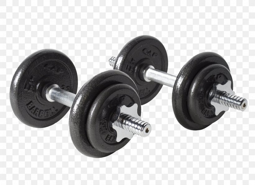 Dumbbell Weight Training Bench Barbell Exercise Equipment, PNG, 1500x1092px, Dumbbell, Barbell, Beachbody Llc, Bench, Bowflex Download Free