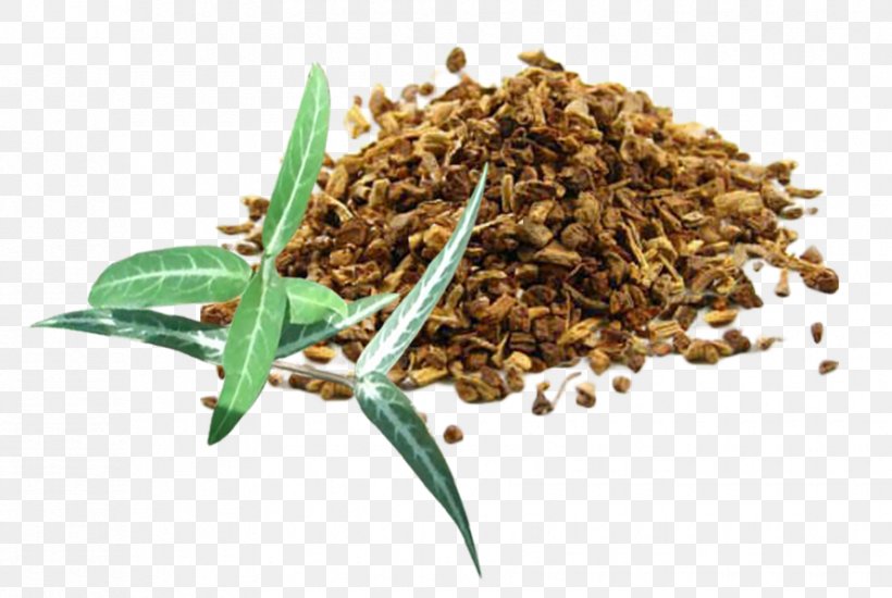 Hemidesmus Indicus Jamaica Sarsaparilla Herb Medicinal Plants, PNG, 890x597px, Hemidesmus Indicus, Aloe Vera, Ayurveda, Commodity, Extract Download Free