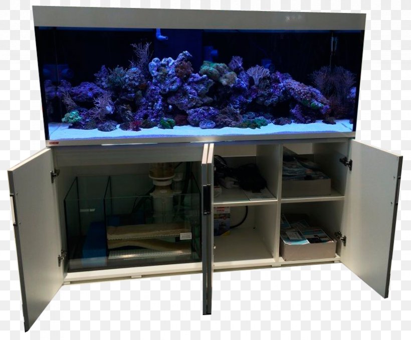 Aquarium Lighting Eheim GmbH & Co. KG, PNG, 823x682px, 2018, Aquarium, Aquarium Lighting, Cobalt Blue, Coral Reef Download Free