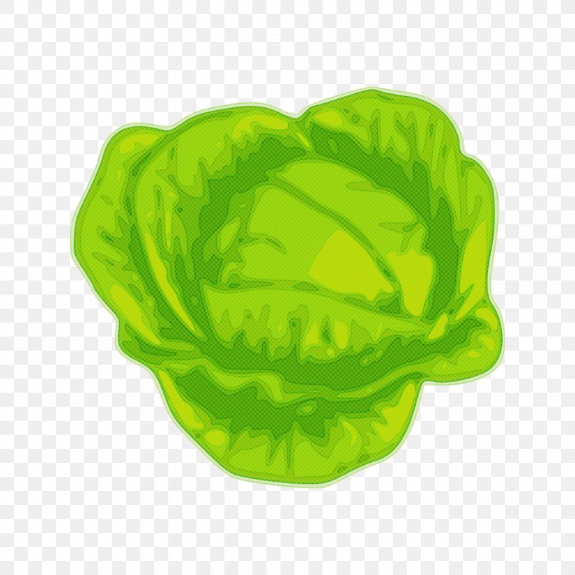 Green Leaf Lettuce Cabbage Plant, PNG, 1000x1000px, Green, Cabbage, Flower, Leaf, Leaf Vegetable Download Free