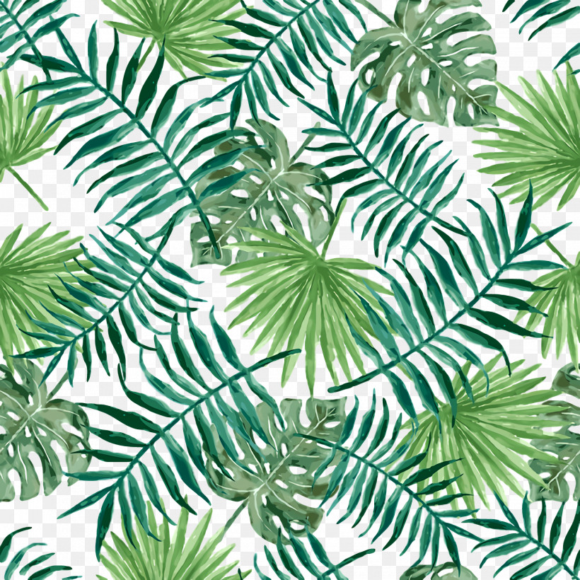 Pine Leaf Evergreen Green Pattern, PNG, 1440x1440px, Pine, Biology, Evergreen, Flower, Green Download Free