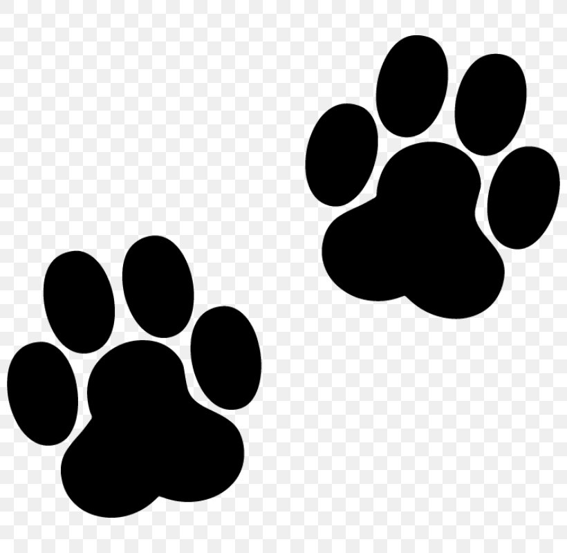 Paw Dog Footprint Printing Cat, PNG, 800x800px, Paw, Animal, Animal Track, Black, Black And White Download Free