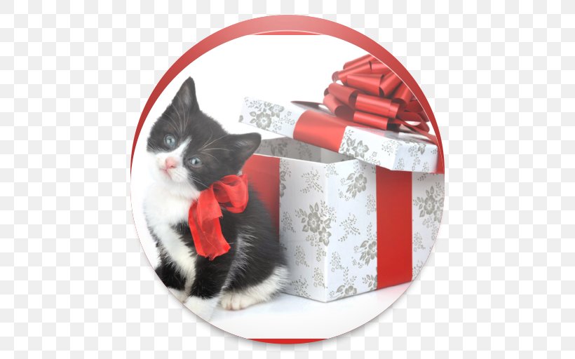 Santa Claus Christmas Gift Christmas And Holiday Season, PNG, 512x512px, Santa Claus, Black And White, Cat, Cat Like Mammal, Child Download Free