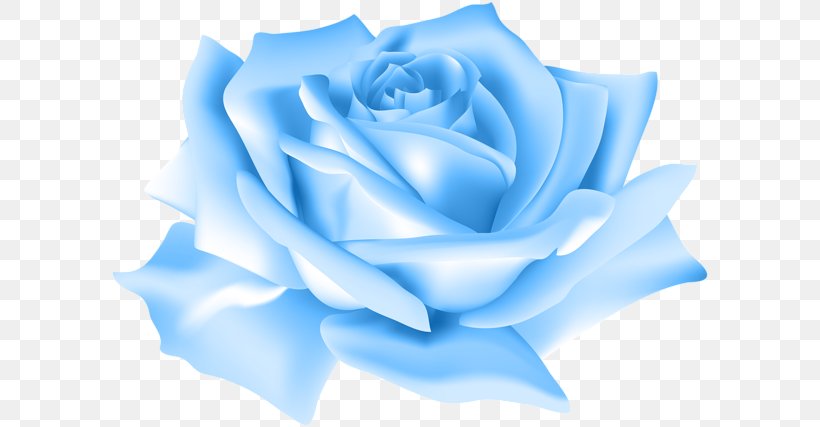 Blue Rose Clip Art, PNG, 600x427px, Blue Rose, Blossom, Blue, Close Up, Cut Flowers Download Free