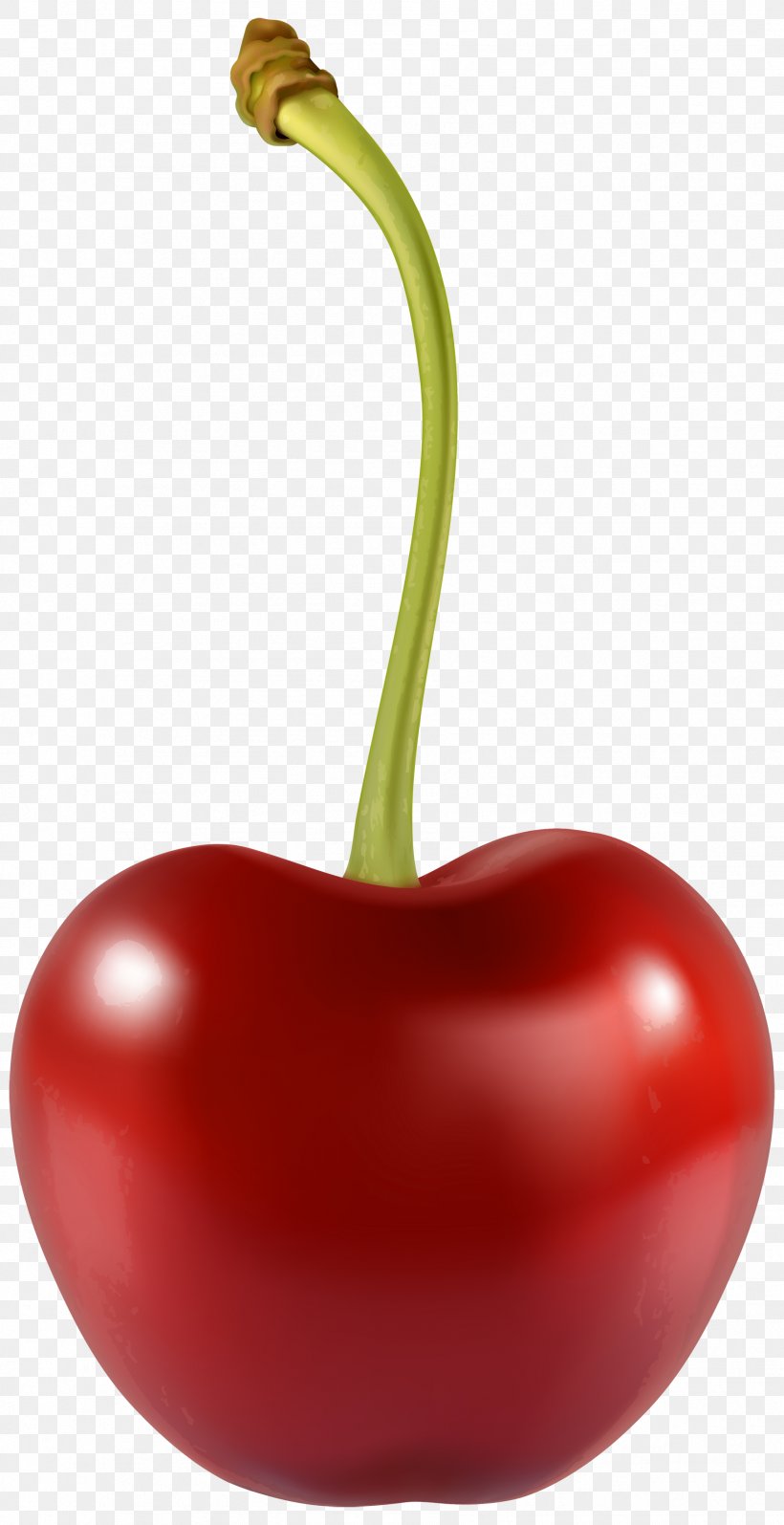 Cherry Berry Fruit Clip Art, PNG, 1799x3500px, Cherry, Bell Pepper, Bell Peppers And Chili Peppers, Berry, Black Cherry Download Free