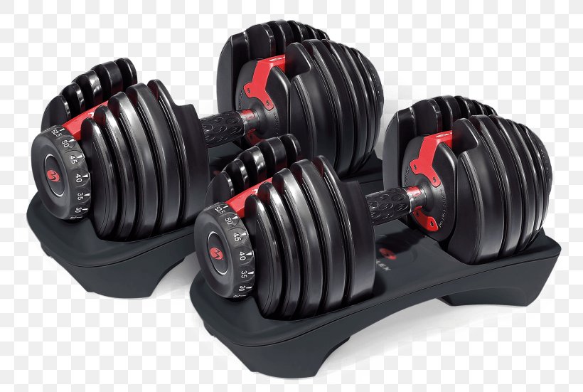 Dumbbell Bowflex Bench Exercise Equipment Weight Training, PNG, 768x551px, Dumbbell, Automotive Tire, Bench, Bowflex, Exercise Download Free