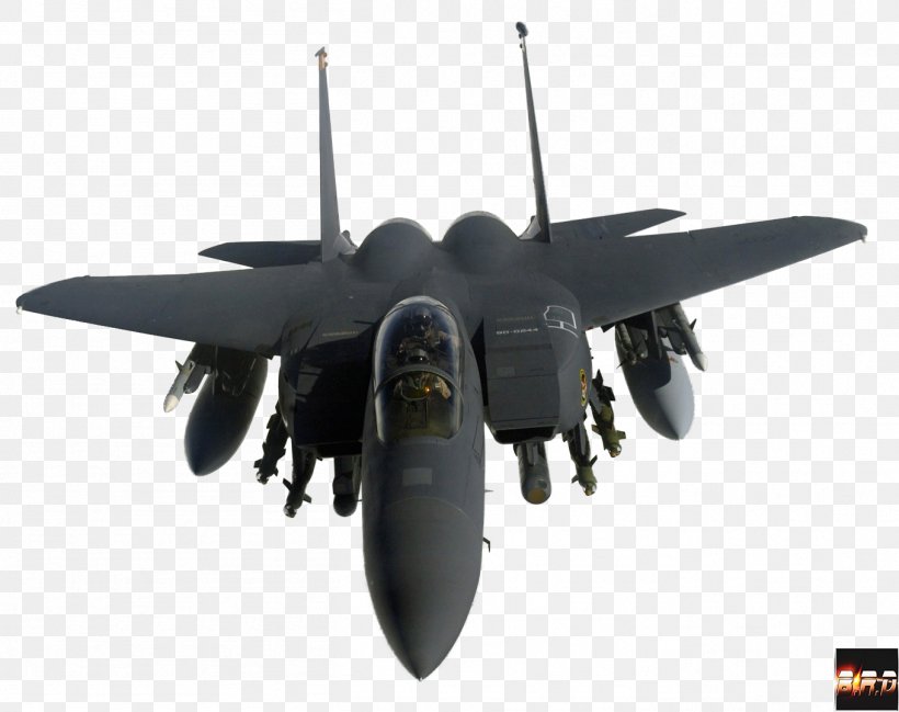 McDonnell Douglas F-15 Eagle McDonnell Douglas F-15E Strike Eagle Grumman F-14 Tomcat Lockheed Martin F-22 Raptor Robins Air Force Base, PNG, 1359x1077px, Mcdonnell Douglas F15 Eagle, Air Force, Aircraft, Airplane, Aviation Download Free
