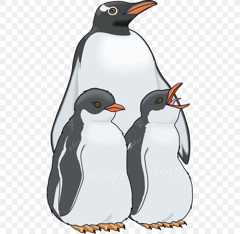 Penguin Royalty-free Clip Art, PNG, 499x800px, Penguin, Beak, Bird, Cartoon, Drawing Download Free